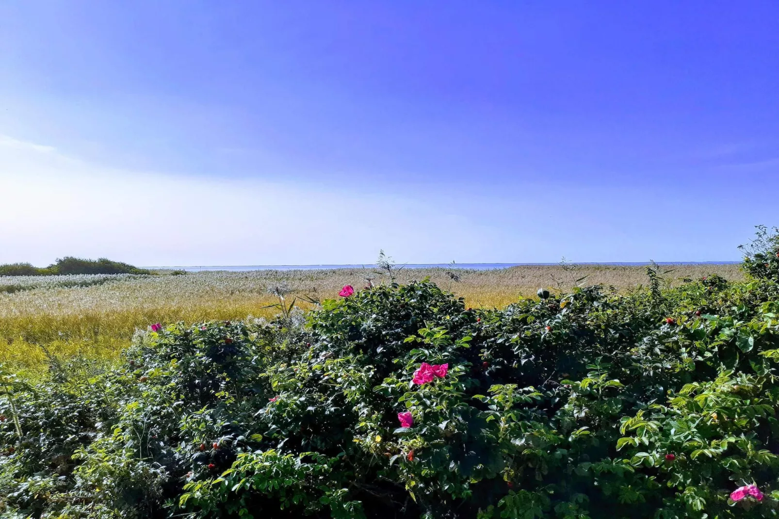 4 persoons vakantie huis in Skjern