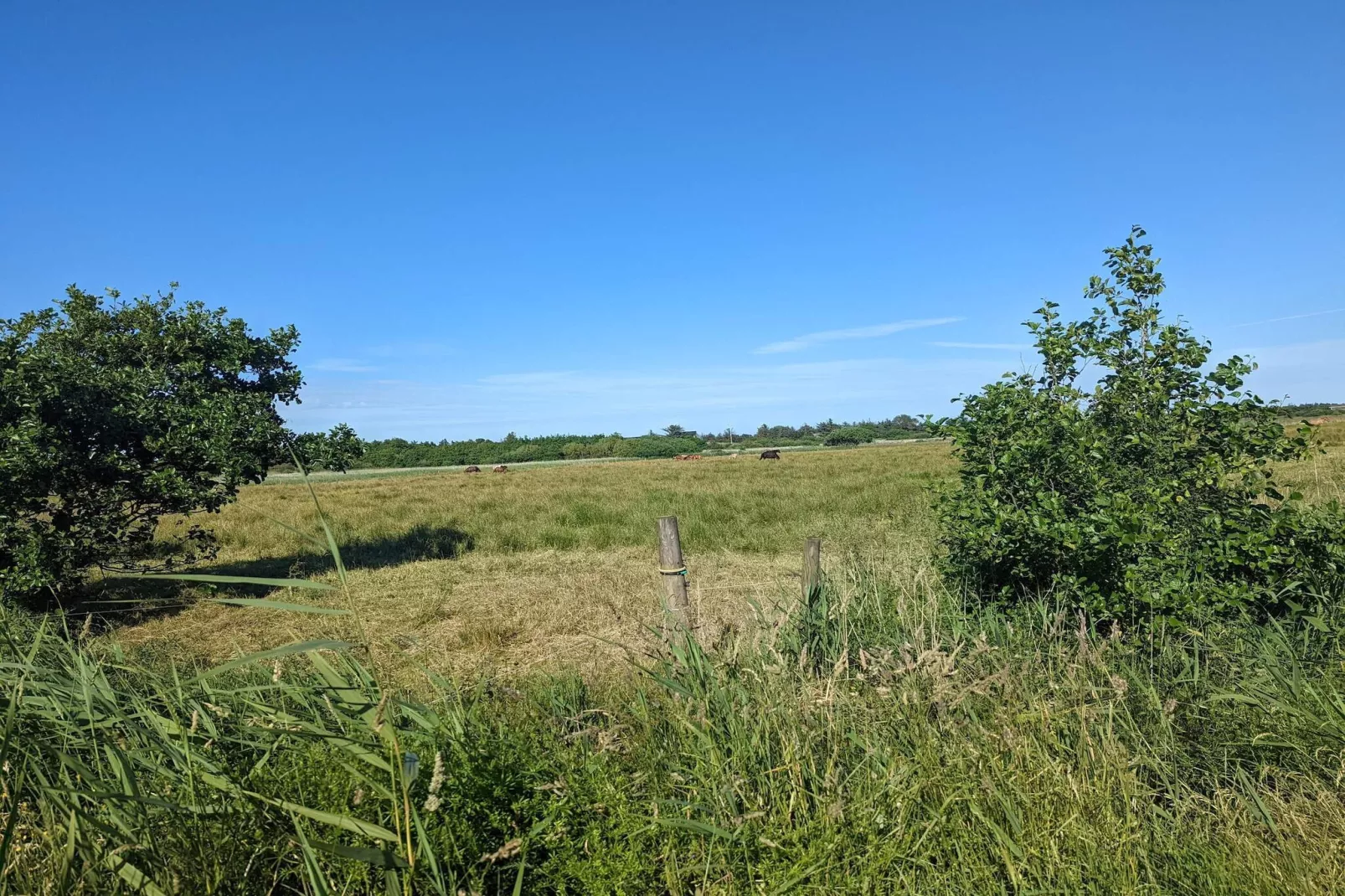 6 persoons vakantie huis in Blåvand-Niet-getagd