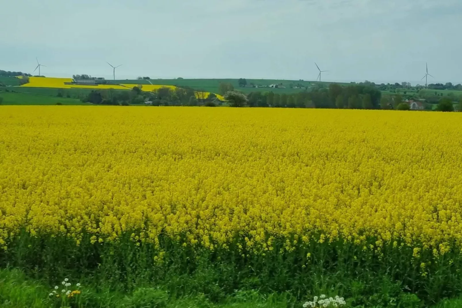 Historische charme in Marstal-By Traum