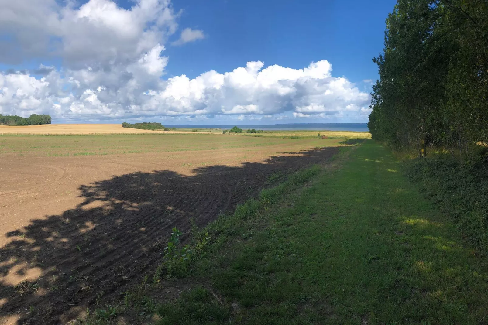 Kustsereniteit in Jaegerspris-By Traum-Niet-getagd