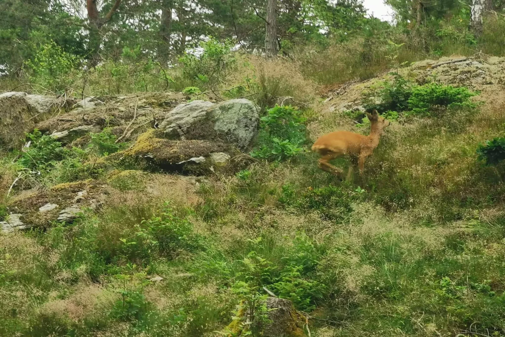 4 persoons vakantie huis in Brålanda-Niet-getagd