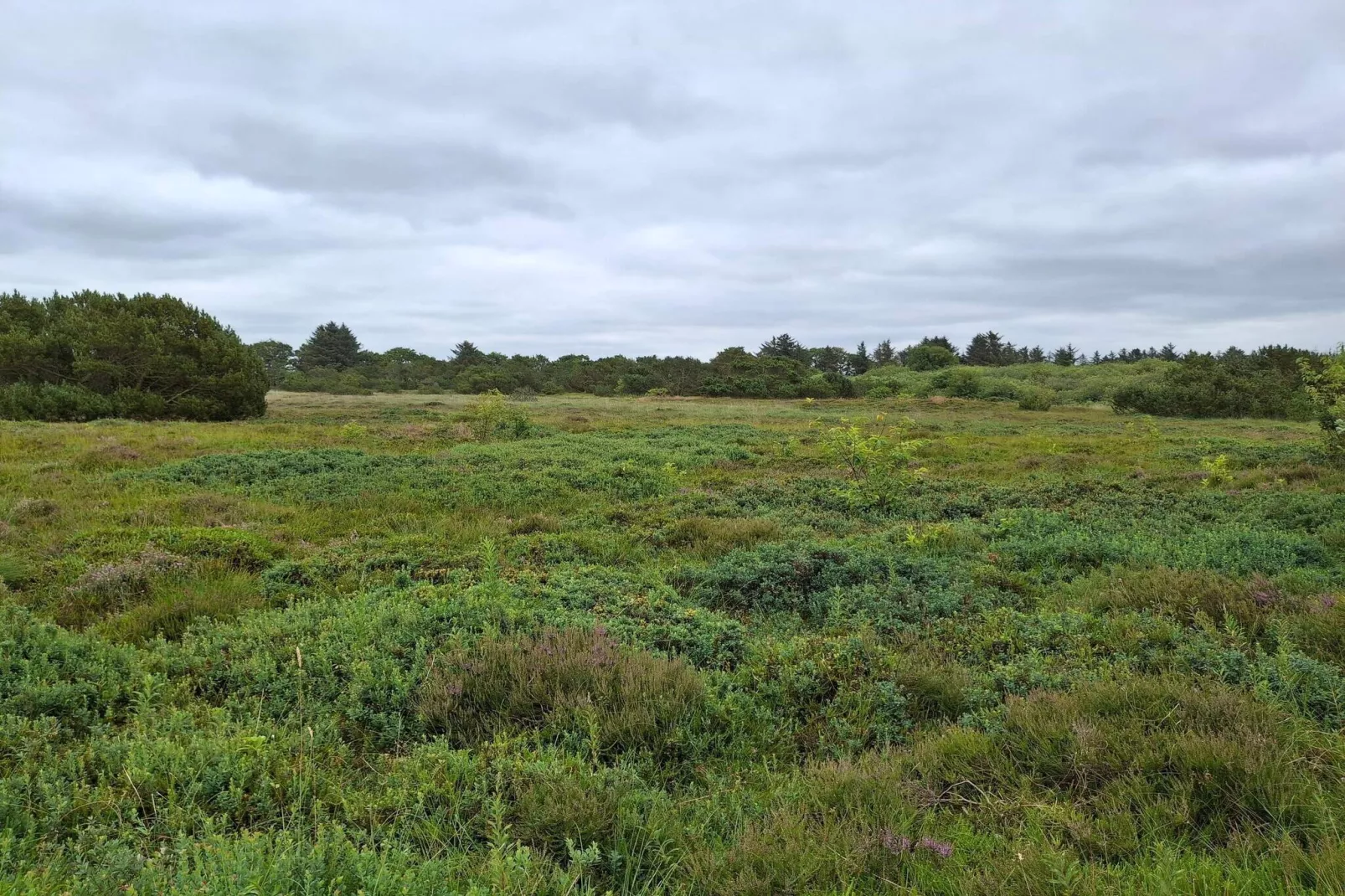 Afgelegen Gezellige Huisje in Skaven-By Traum-Niet-getagd