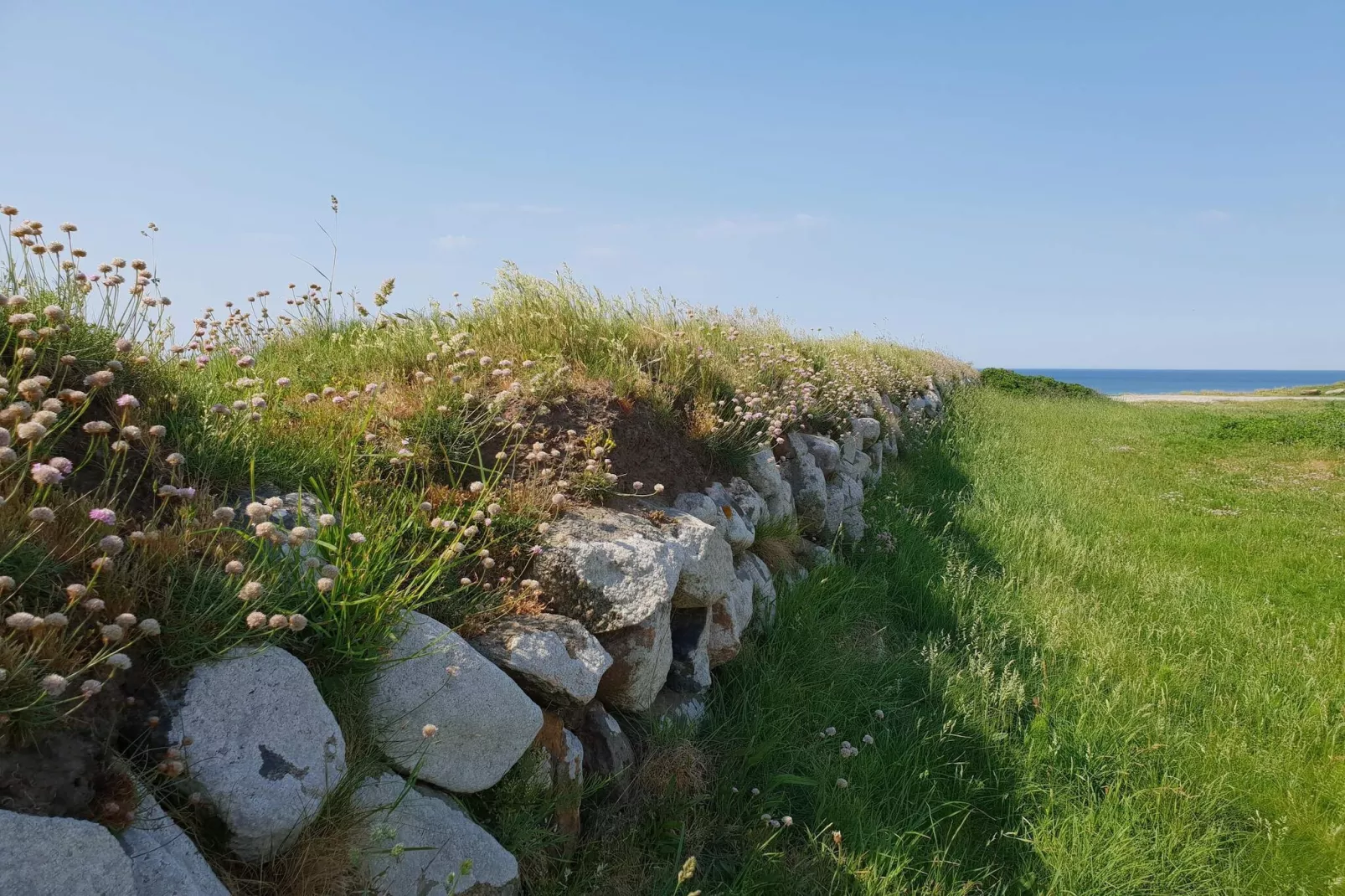 Rustig huisje toevluchtsoord in Lokken-By Traum