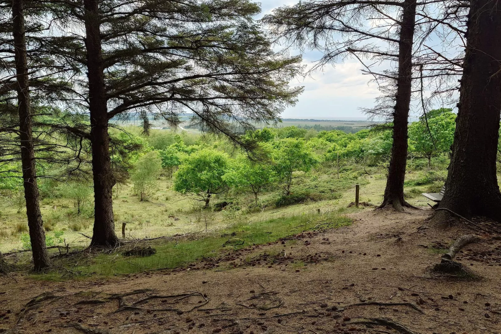 Kustsereniteit bij Tranum Beach-By Traum-Niet-getagd