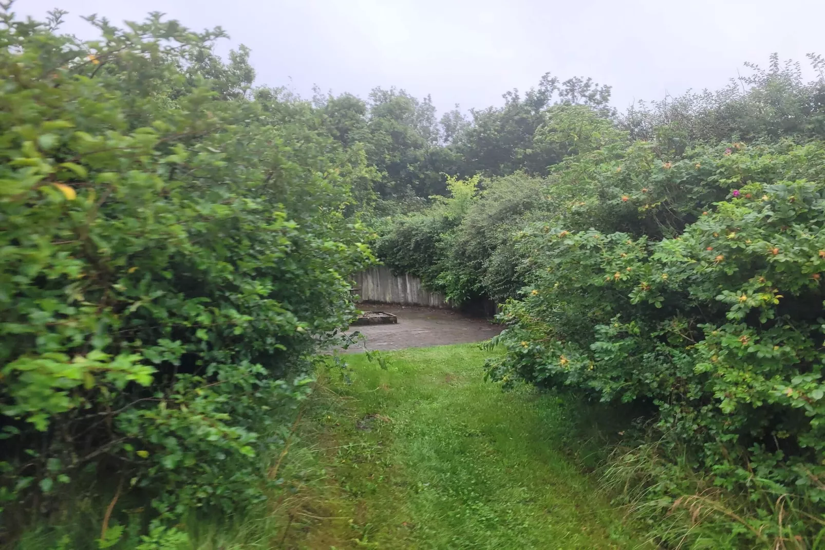 6 persoons vakantie huis in Tarm-Niet-getagd