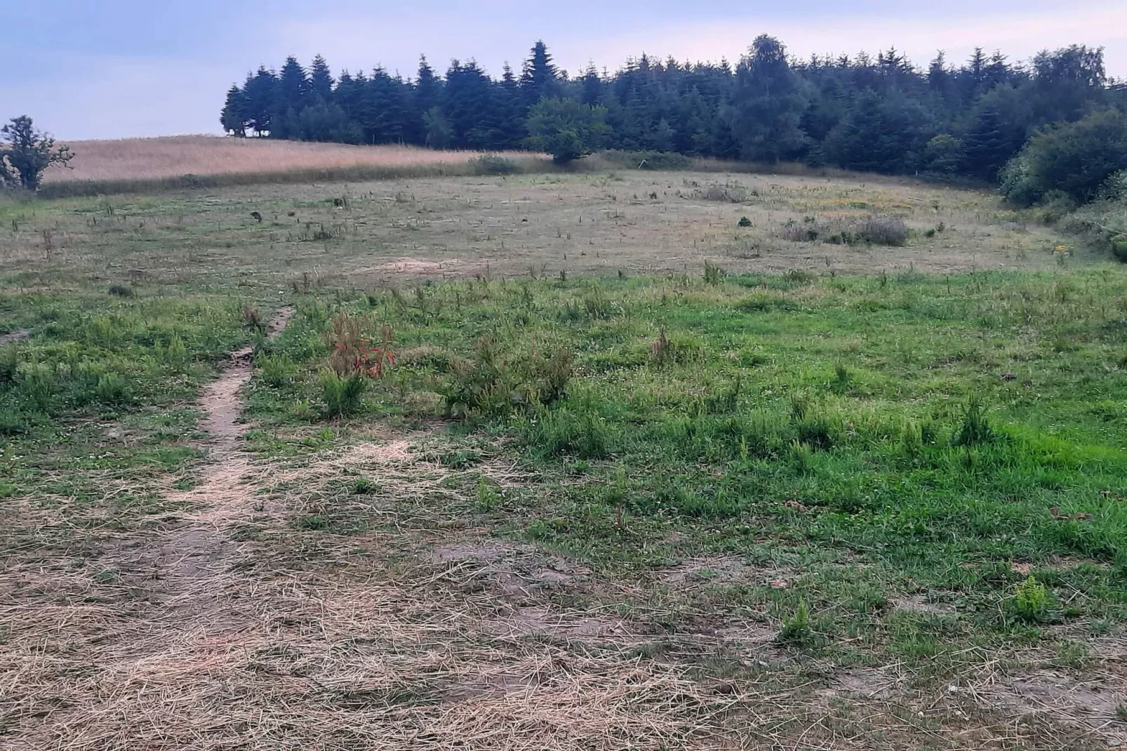 6 persoons vakantie huis in Ebeltoft