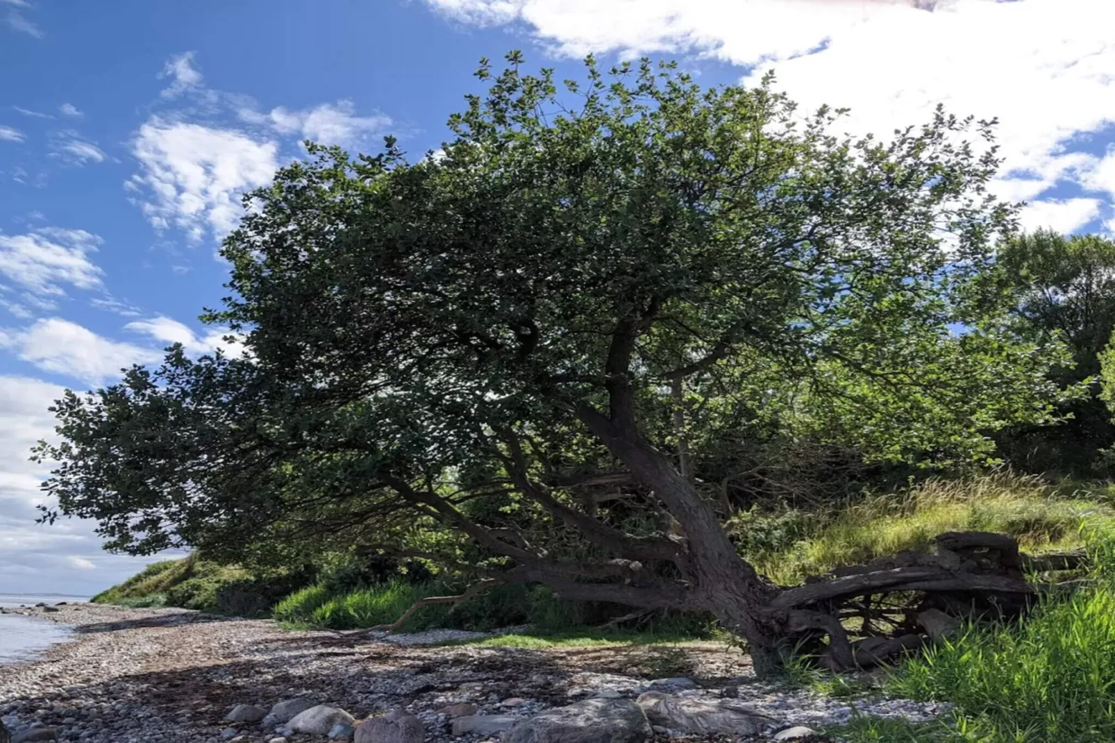 11 persoons vakantie huis in Knebel