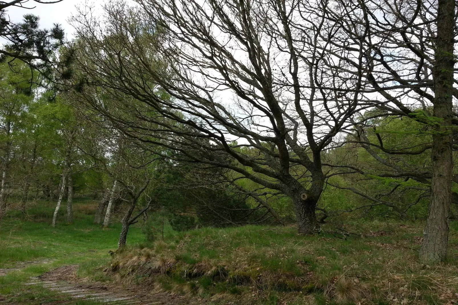 Zonnig heuvelhuisje-By Traum