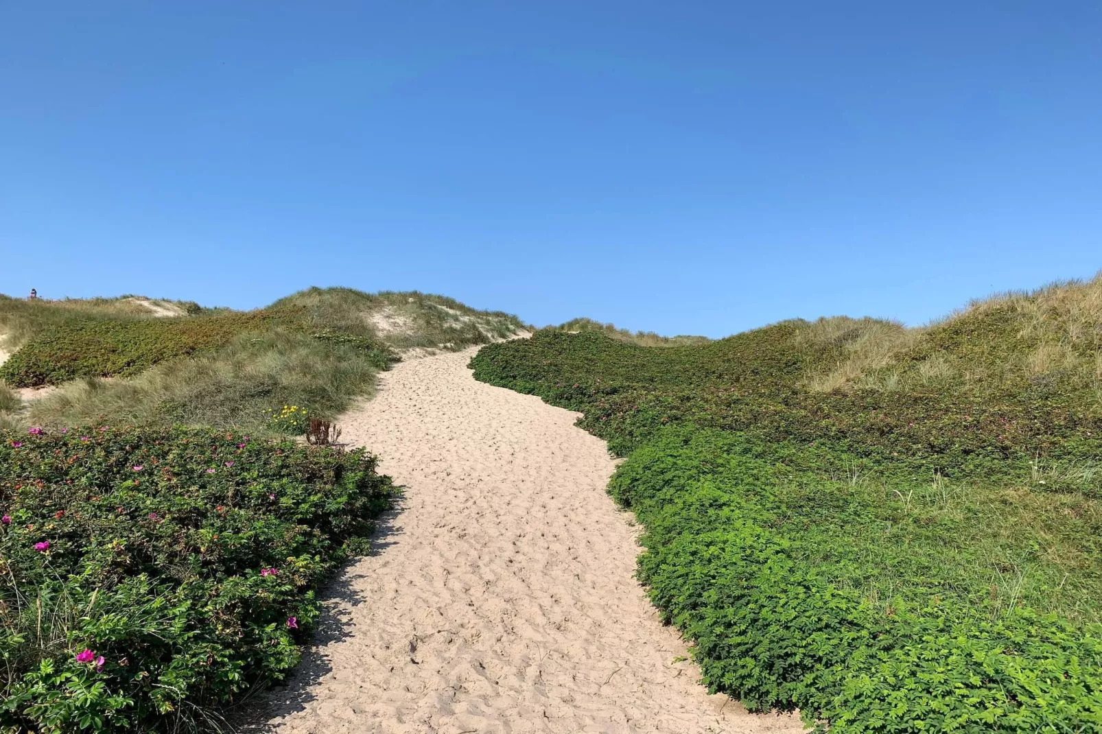 6 persoons vakantie huis in Hvide Sande