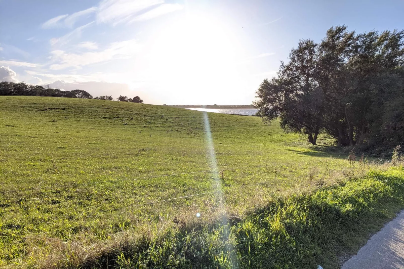 5 persoons vakantie huis in Bogø By