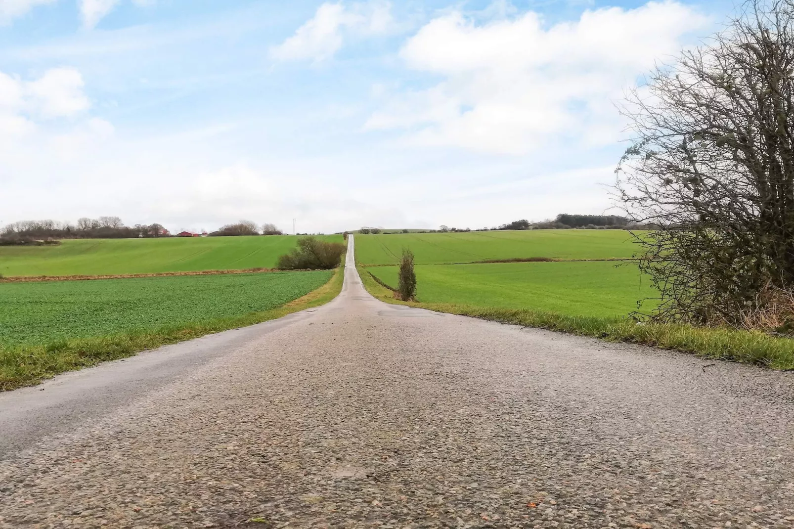 4 persoons vakantie huis in Tranekær-Buitenlucht