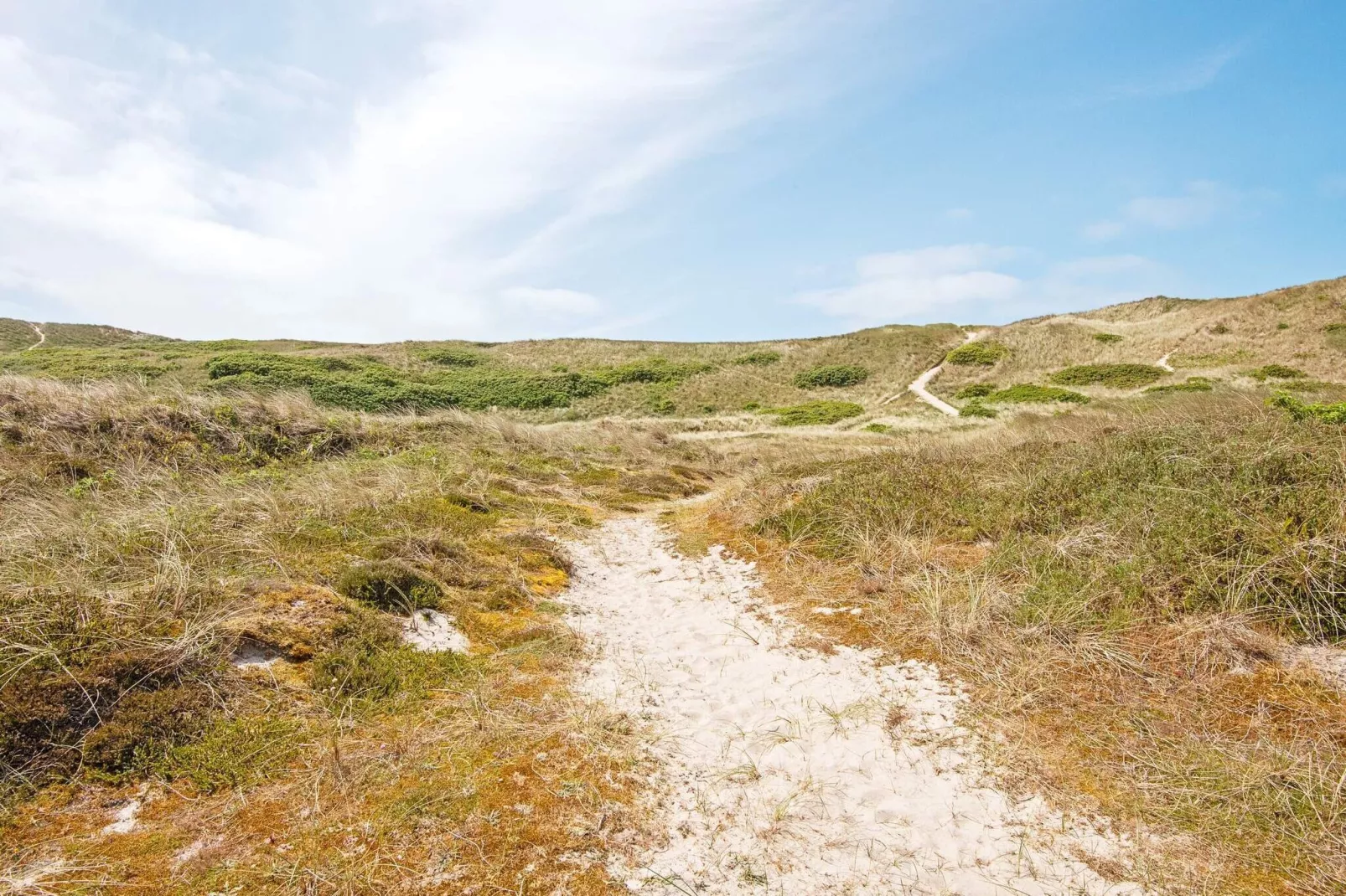 5 persoons vakantie huis in Hvide Sande-Uitzicht