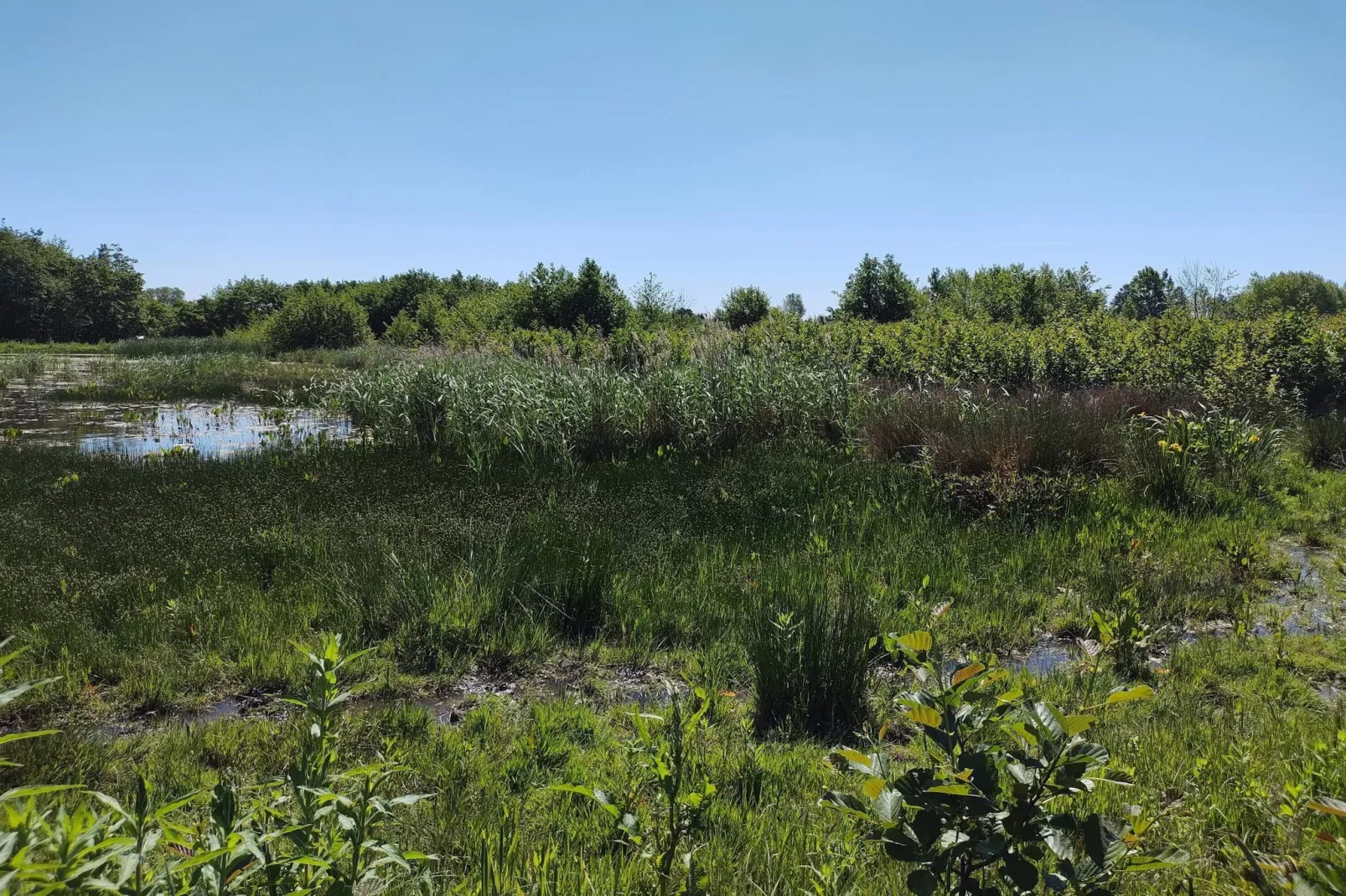 8 persoons vakantie huis in Præstø