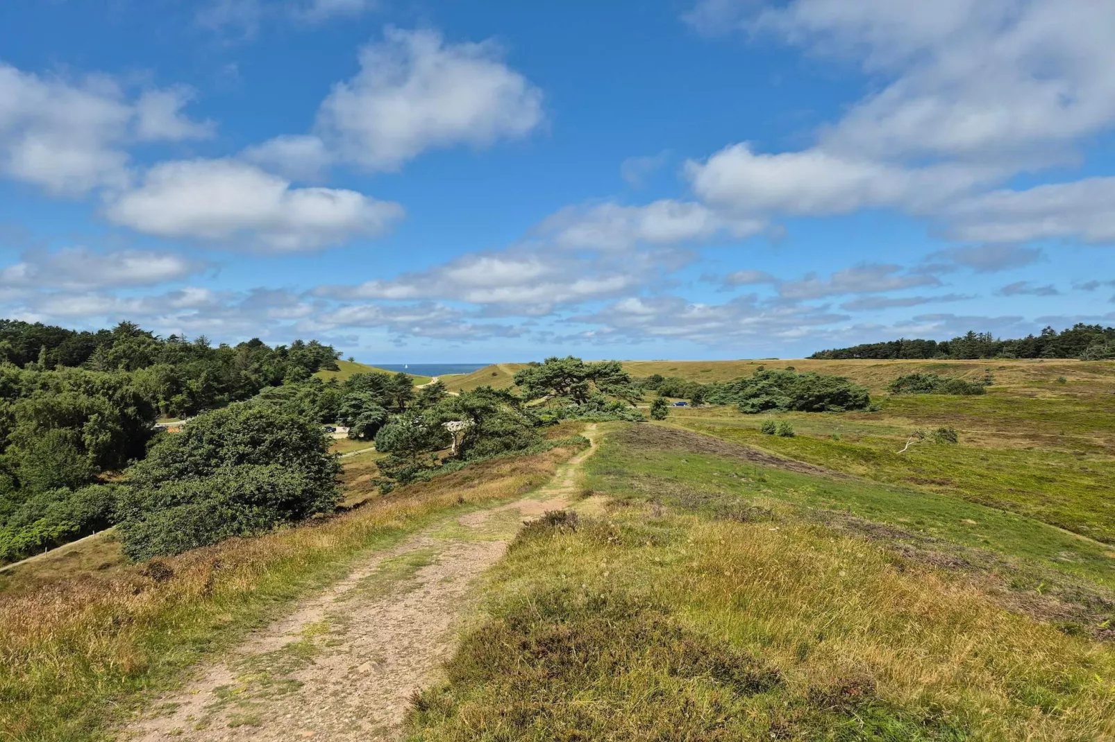 14 persoons vakantie huis in Vejby-Niet-getagd