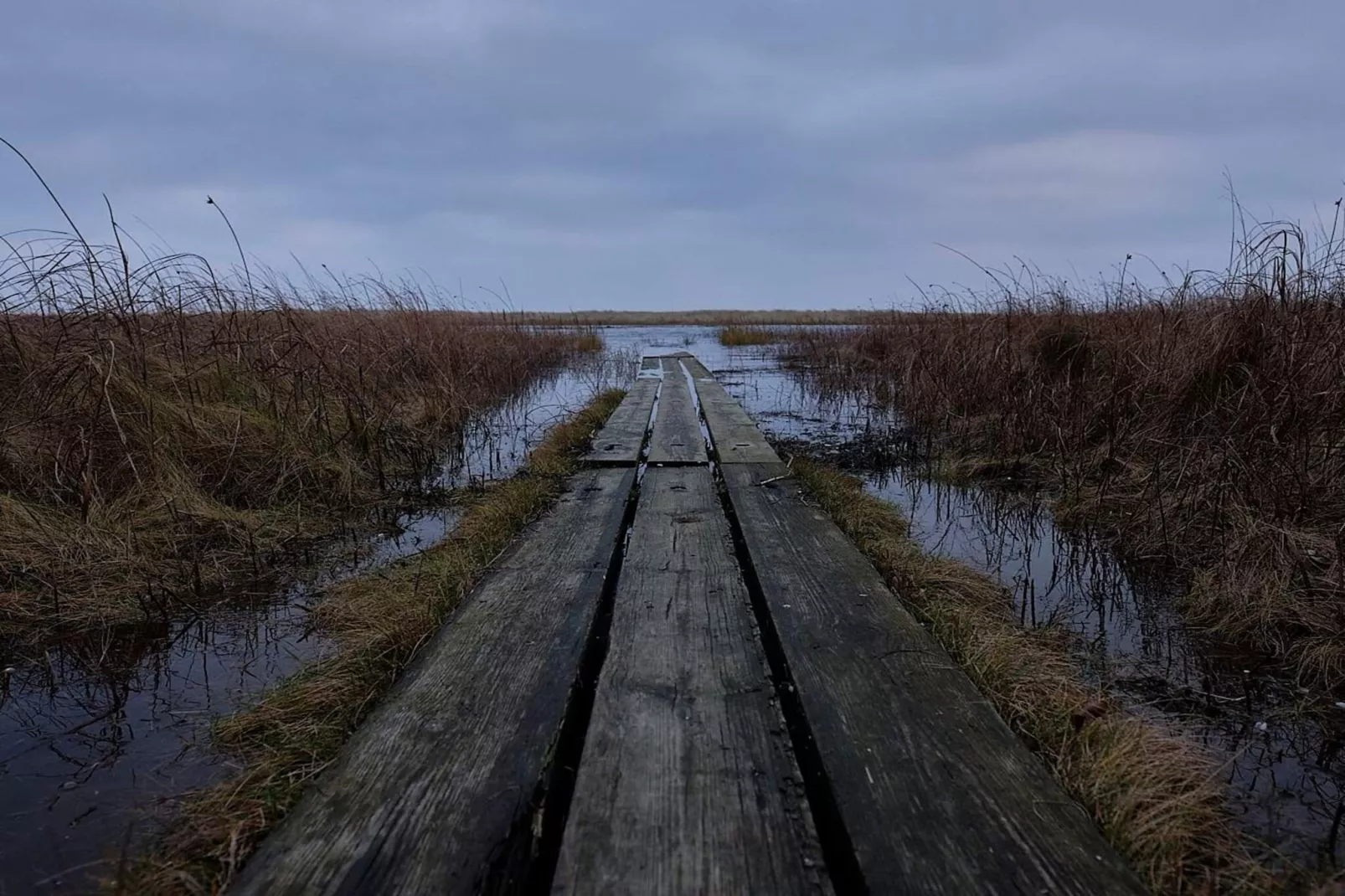 Afgelegen toevluchtsoord in Koldkaer -- By Traum Ferienwohnungen-Niet-getagd