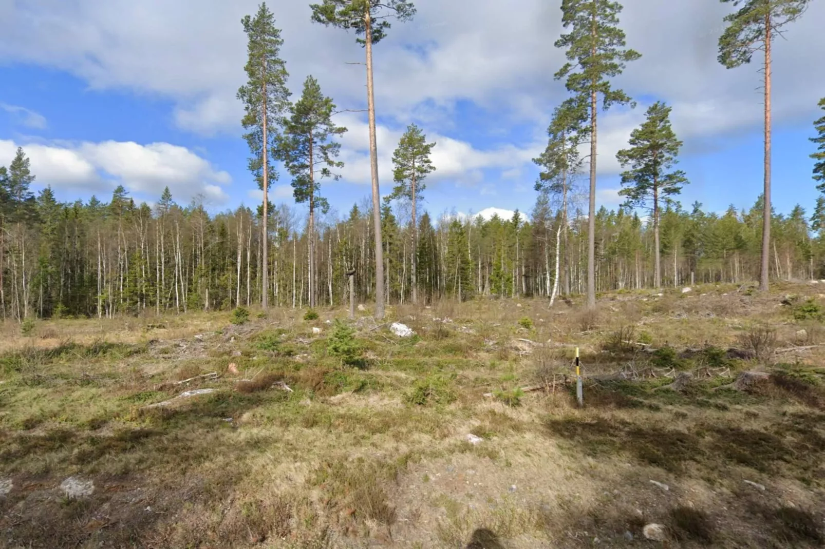 6 persoons vakantie huis in KOPPARBERG-By Traum