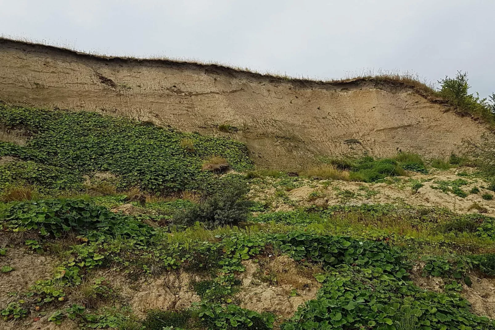 5 persoons vakantie huis in Roslev-By Traum