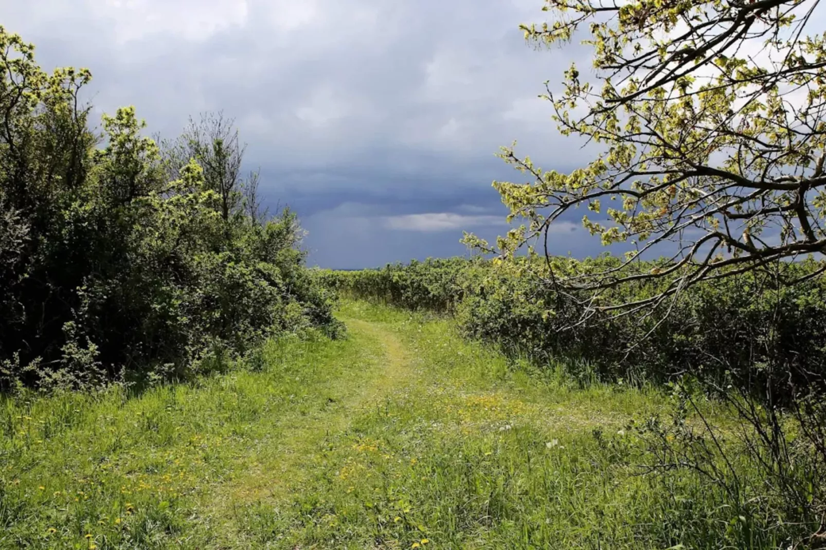 5 persoons vakantie huis in Tranekær-By Traum