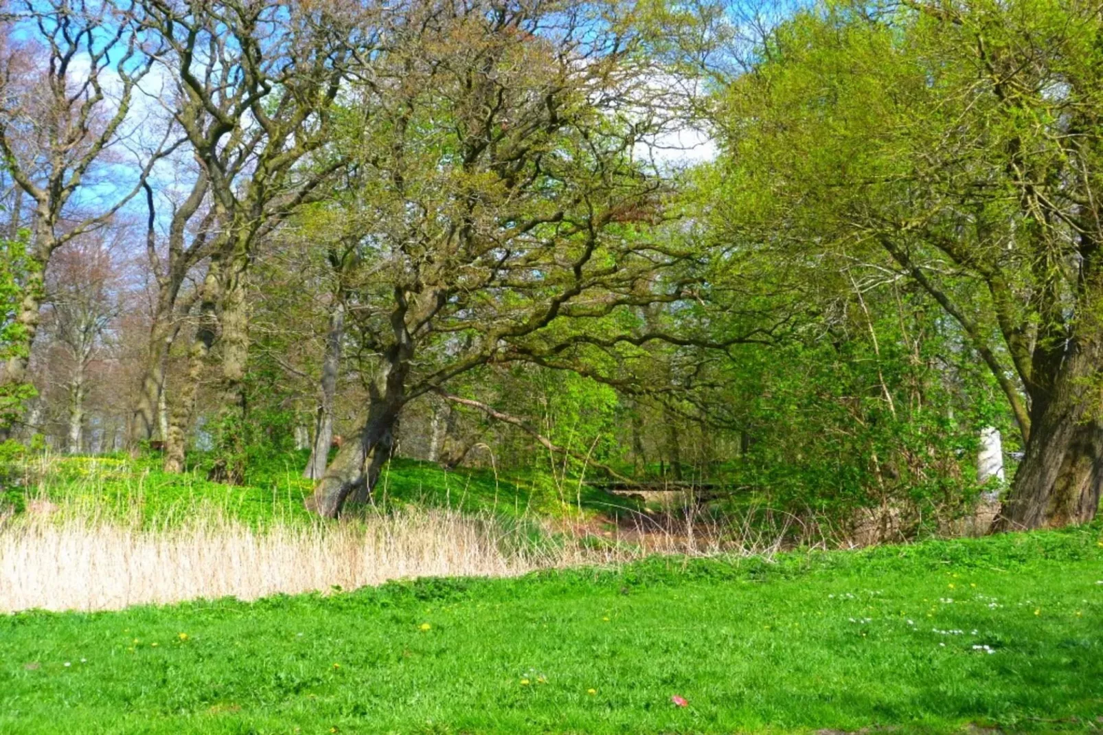 5 persoons vakantie huis in Højer-By Traum