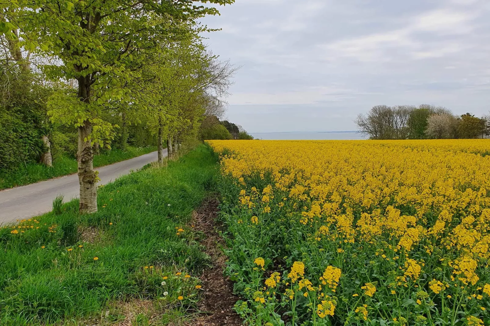 4 persoons vakantie huis in Nykøbing M-By Traum-Niet-getagd