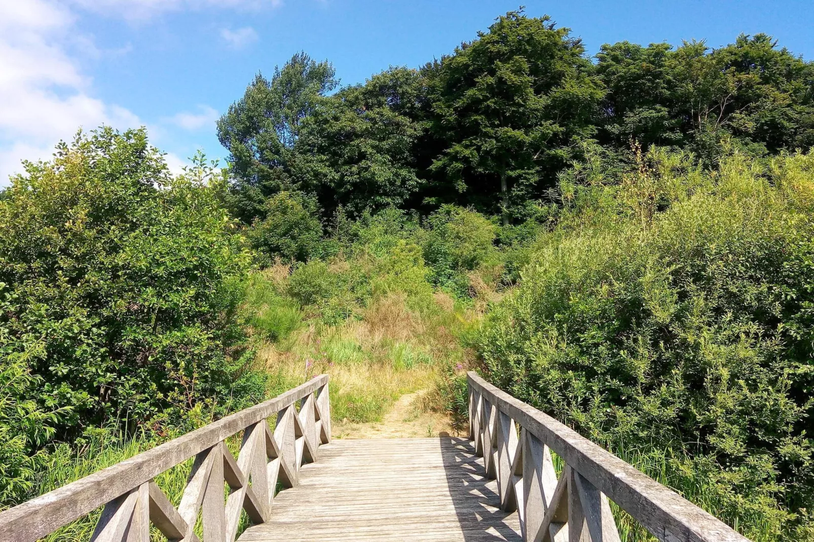 12 persoons vakantie huis in Ansager-By Traum