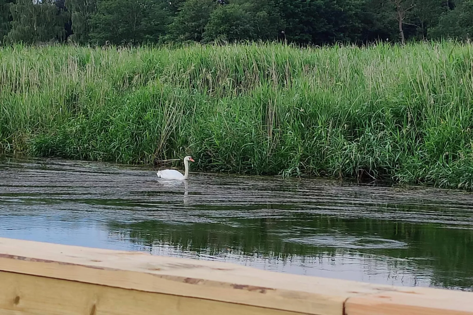 5 persoons vakantie huis in Ans By-By Traum