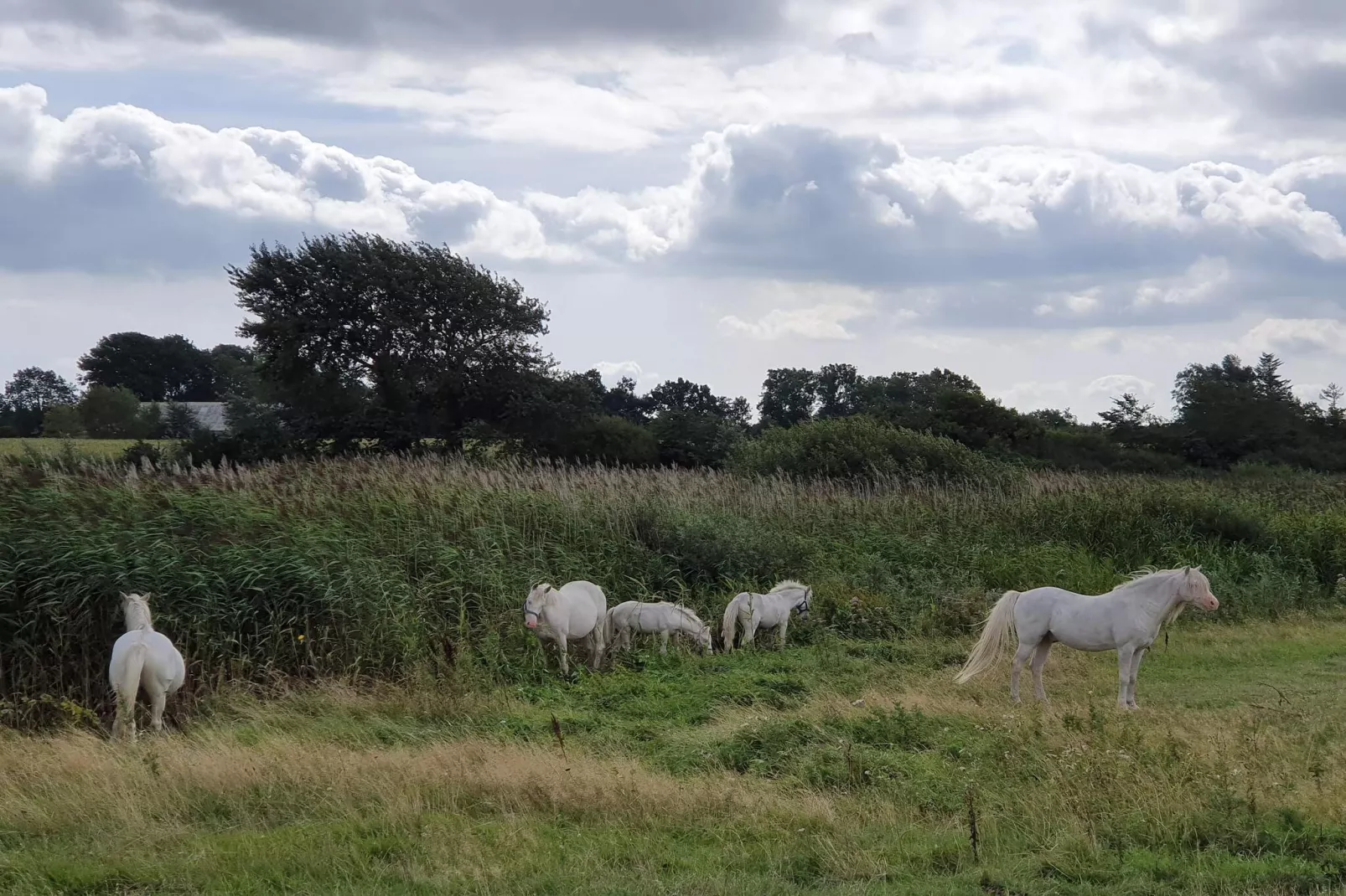 Vissershuis op mooie locatie -- By Traum Ferienwohnungen-Niet-getagd