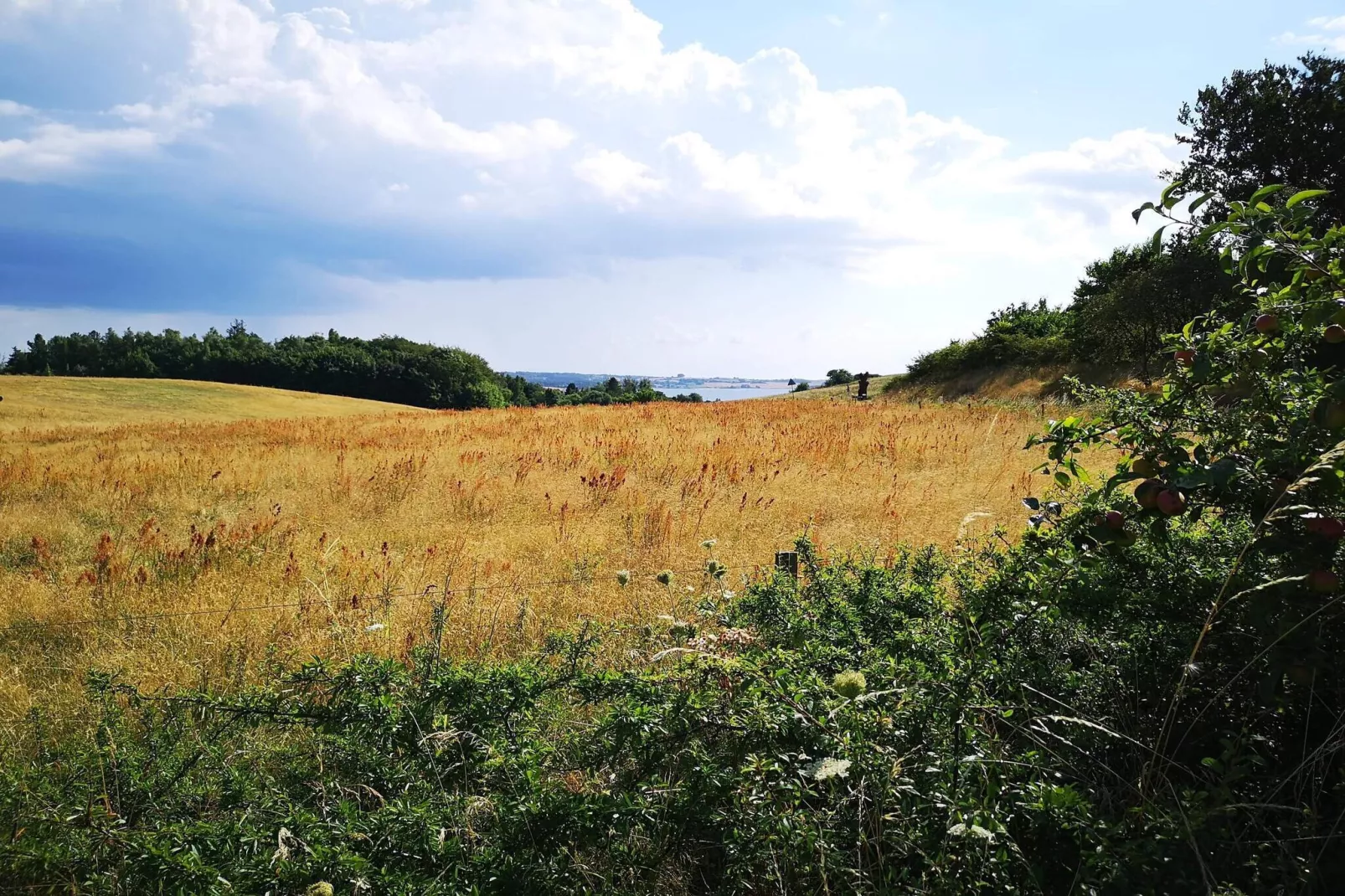 7 persoons vakantie huis in Knebel-By Traum