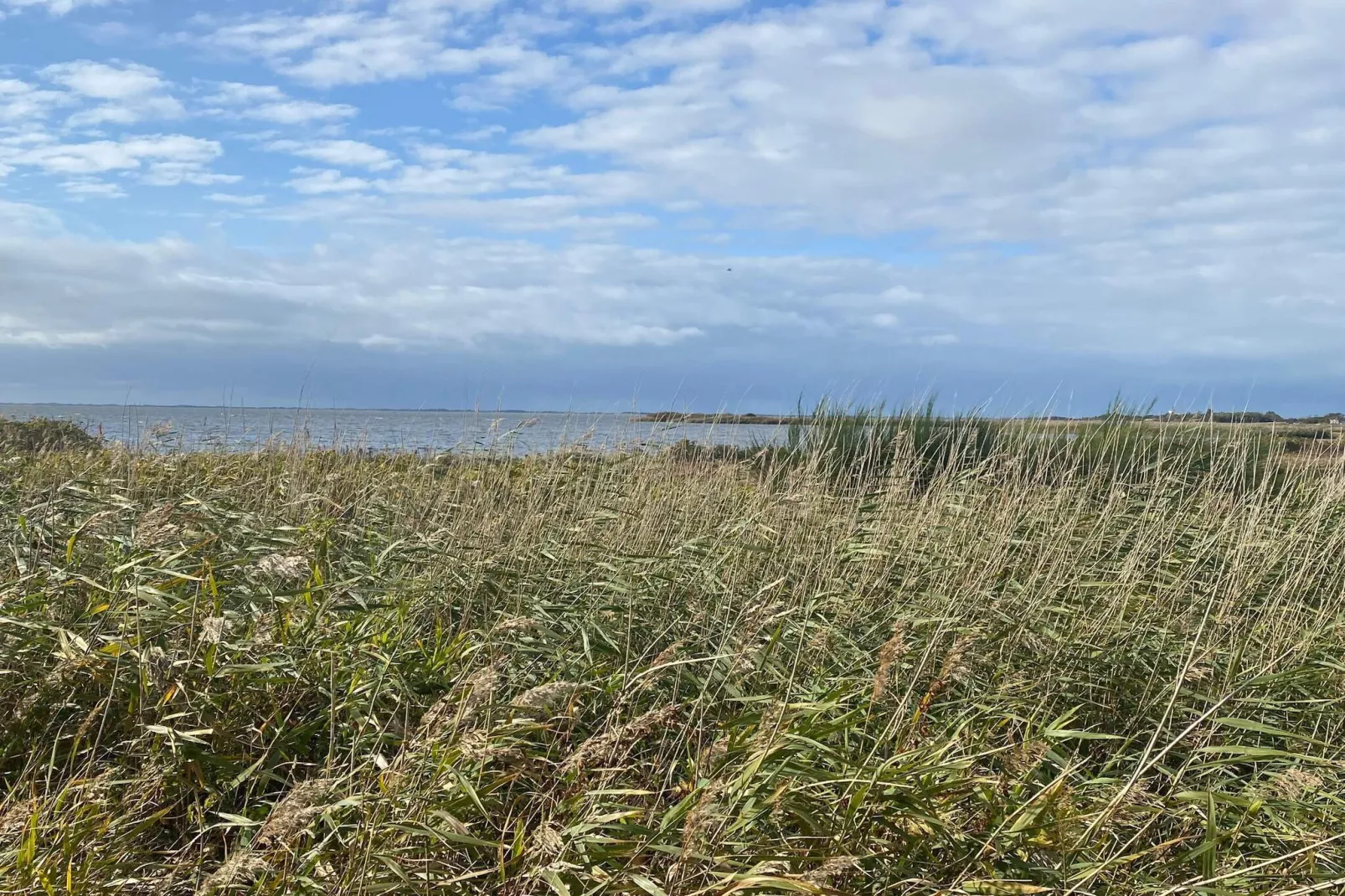 10 persoons vakantie huis in Skjern-By Traum