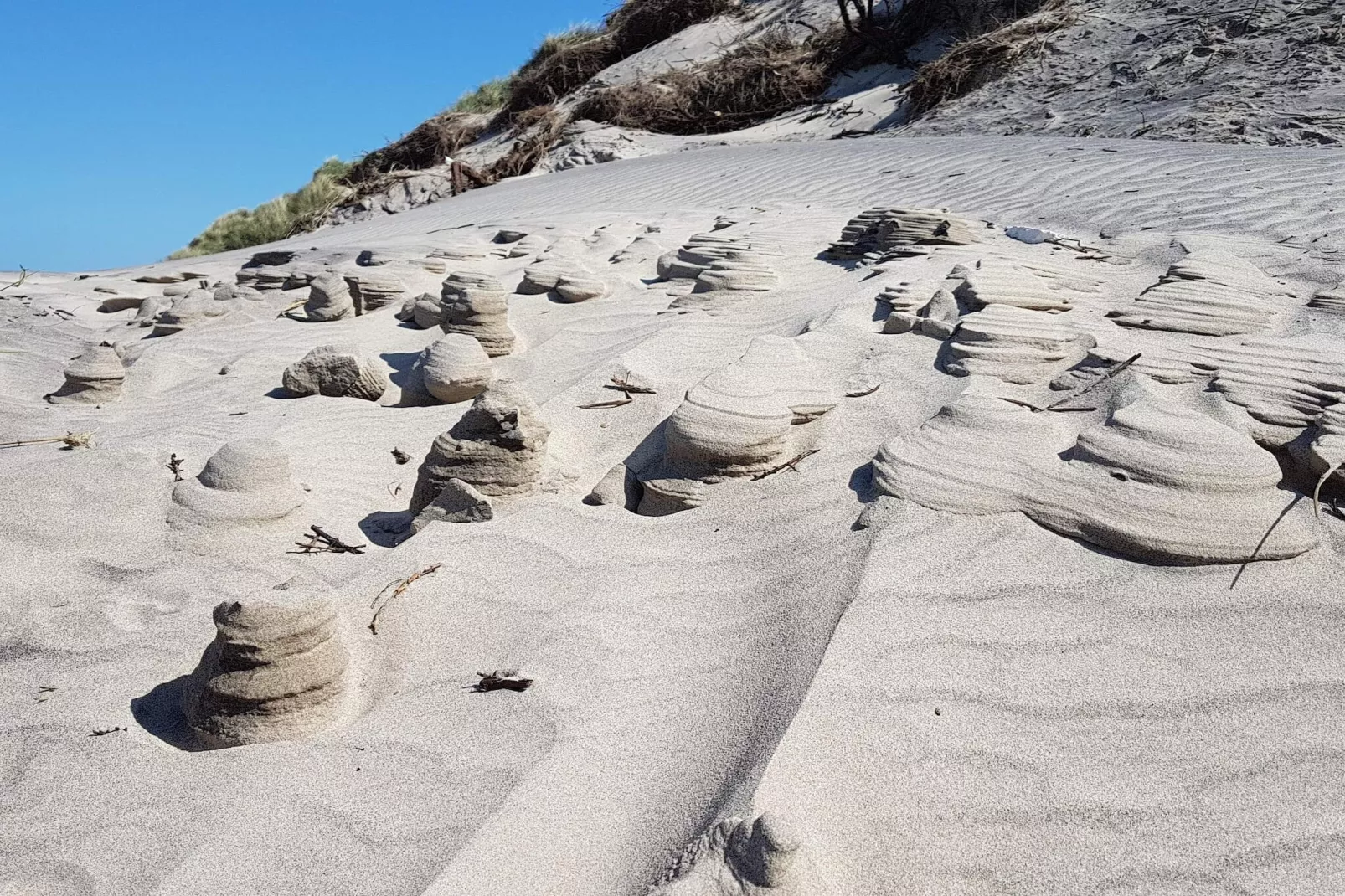 8 persoons vakantie huis in Hjørring-By Traum-Niet-getagd