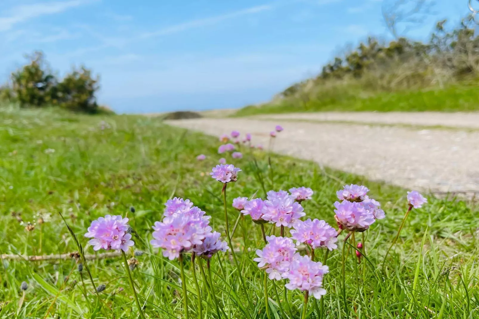 Luxe retraite met zwembad -- By Traum Ferienwohnungen