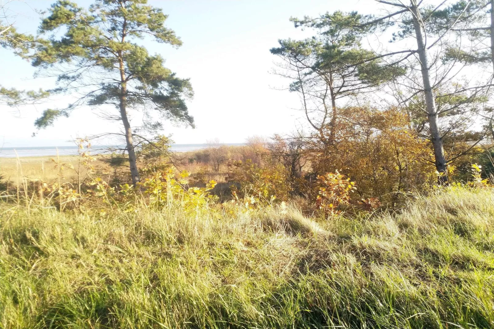 4 persoons vakantie huis in Hadsund-By Traum