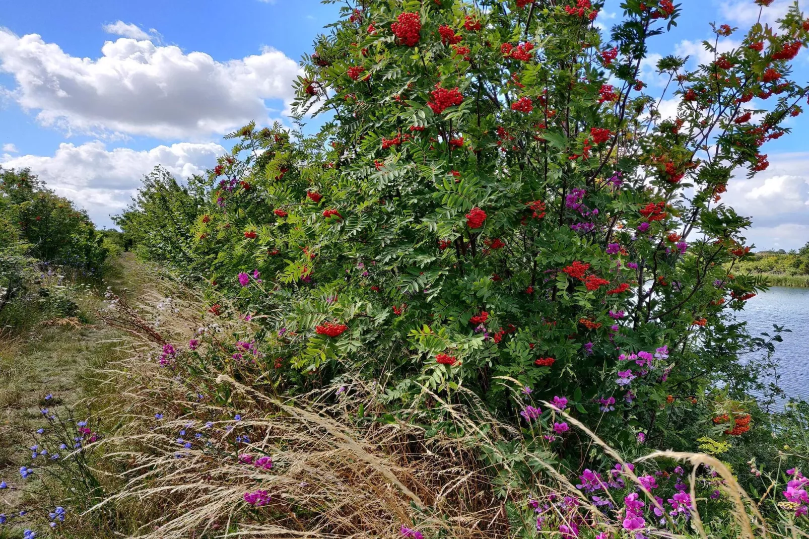 7 persoons vakantie huis in Stege-By Traum-Niet-getagd