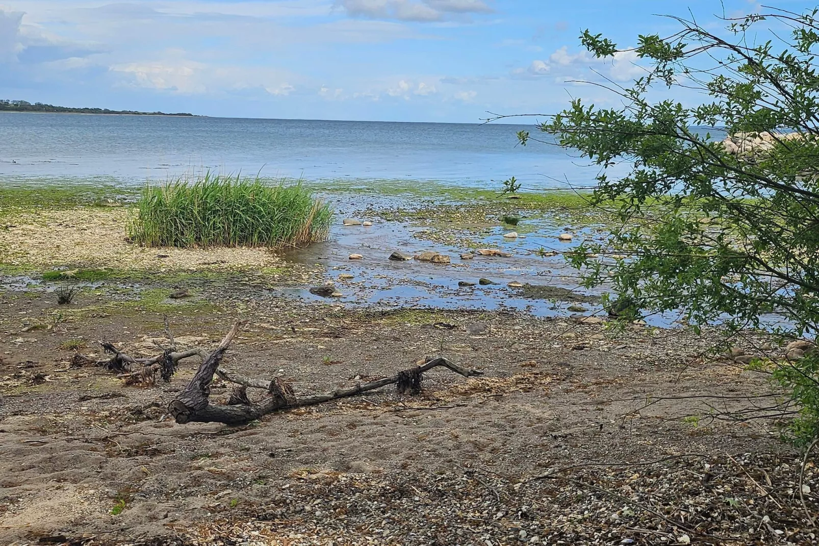 8 persoons vakantie huis in Aabenraa