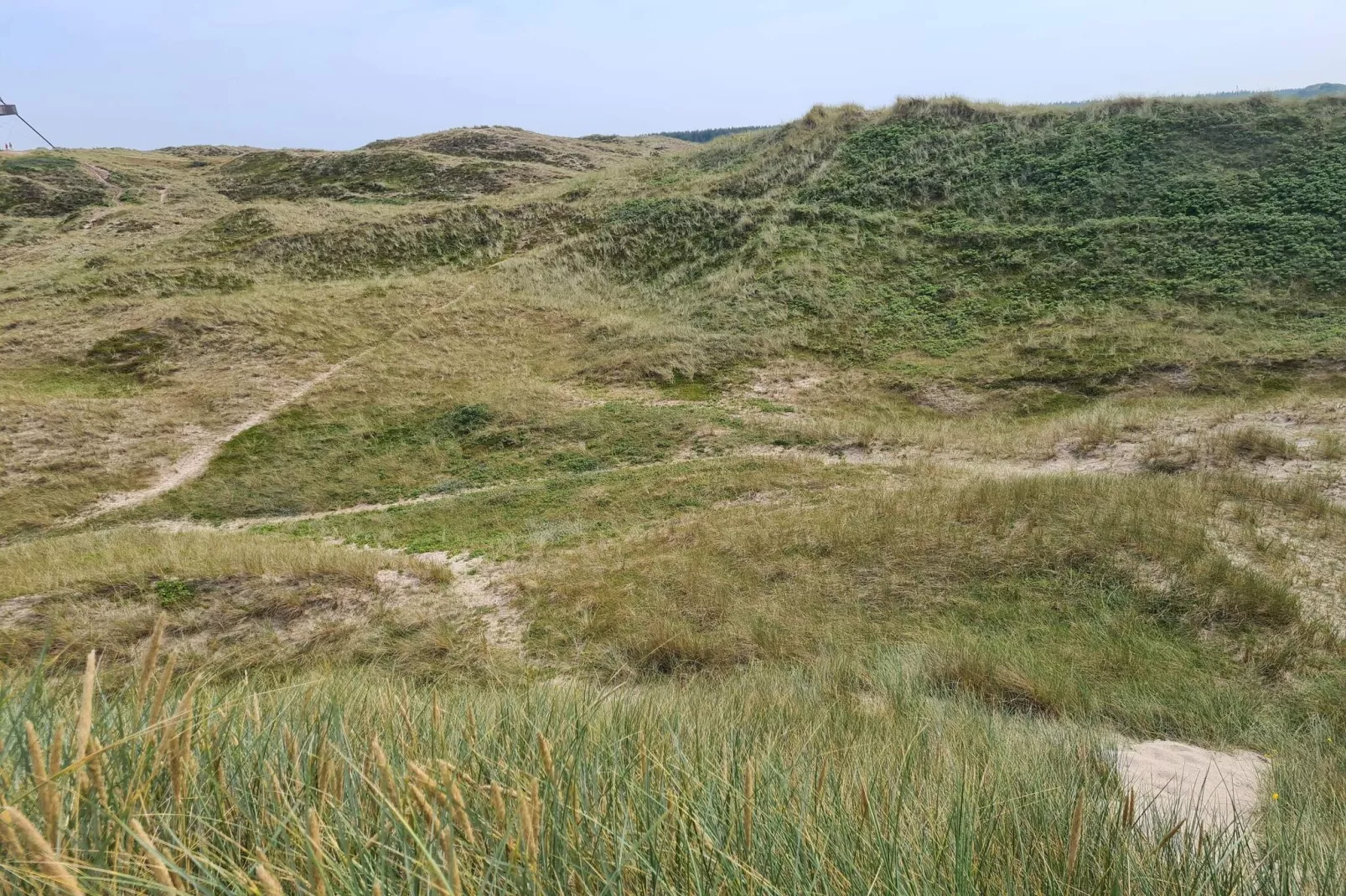 4 persoons vakantie huis in Skagen-By Traum-Niet-getagd