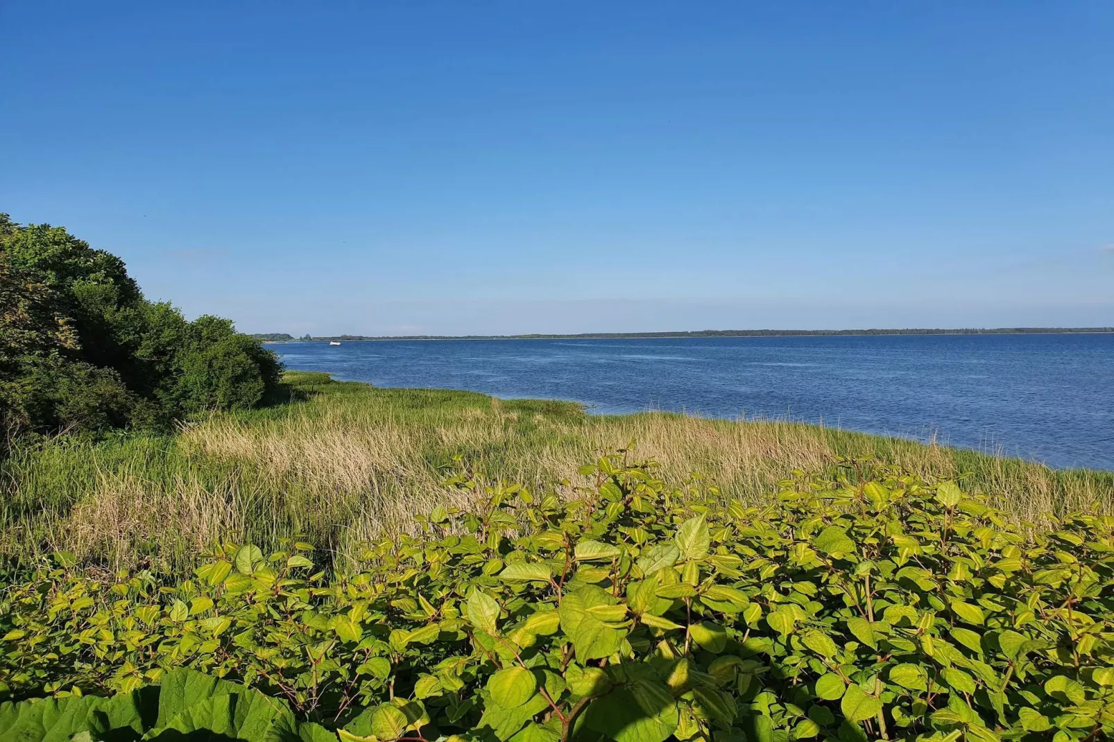 Kust ontsnapping in Praesto -- By Traum Ferienwohnungen-Niet-getagd