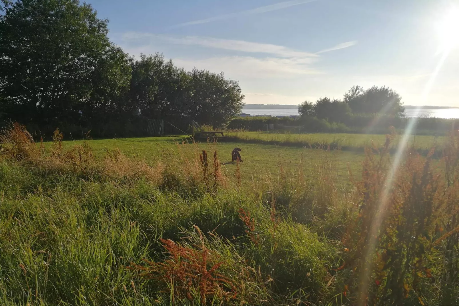 4 persoons vakantie huis in Nibe-By Traum