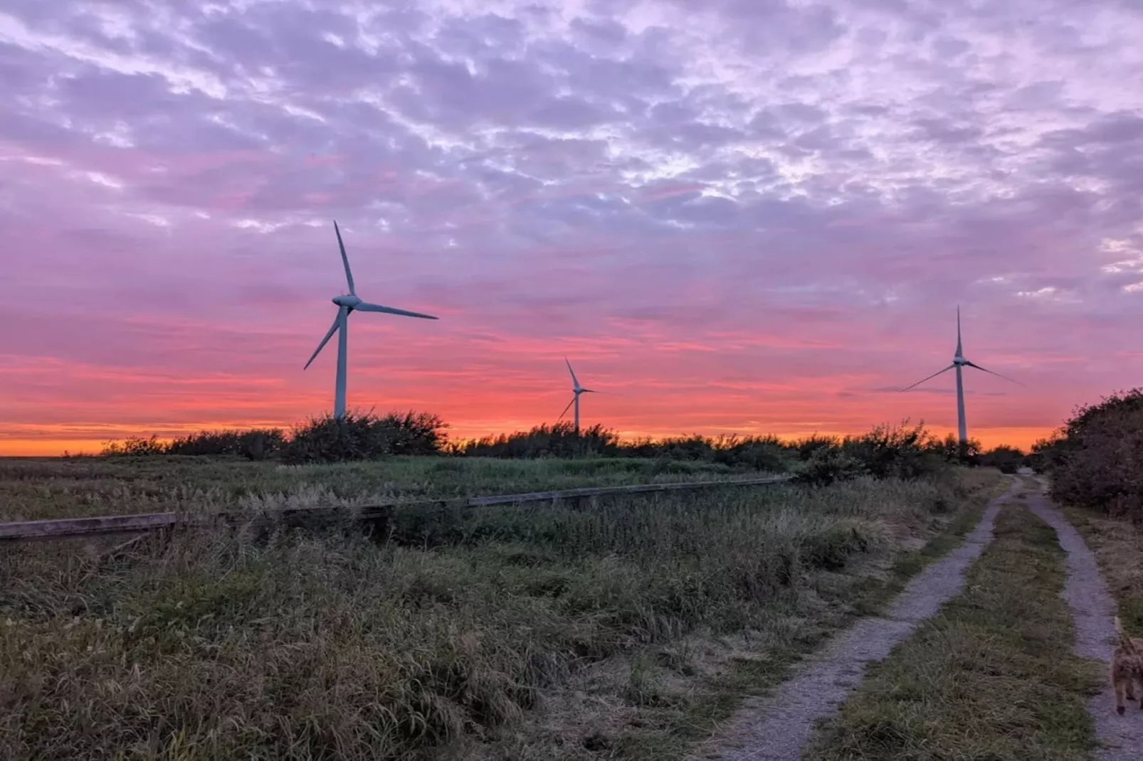 2 persoons vakantie huis in FALKENBERG-By Traum