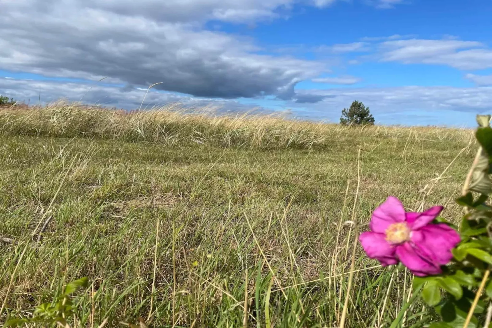 Natuur retraite bij strand -- By Traum Ferienwohnungen