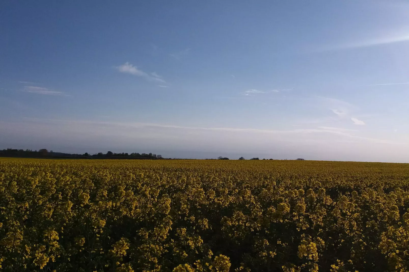 6 persoons vakantie huis in Jægerspris-By Traum