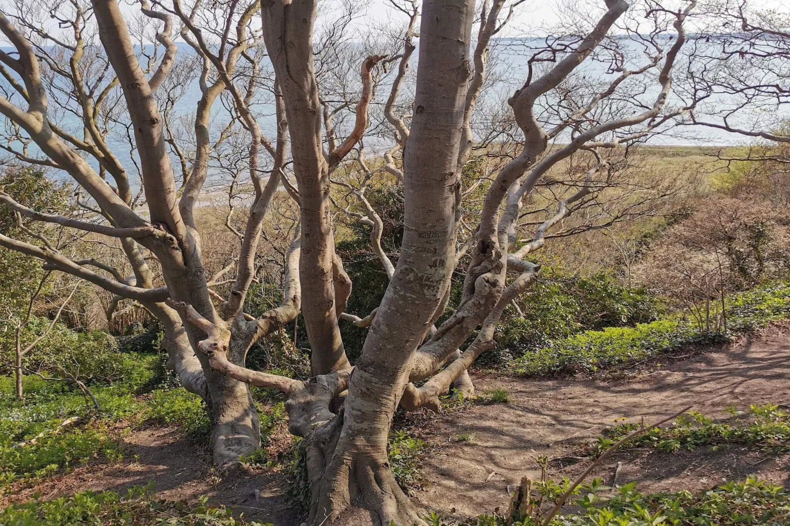 8 persoons vakantie huis in Ebeltoft-By Traum