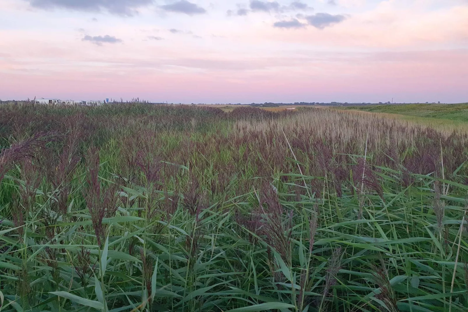 Licht familiehuis bij Kelstrup Strand