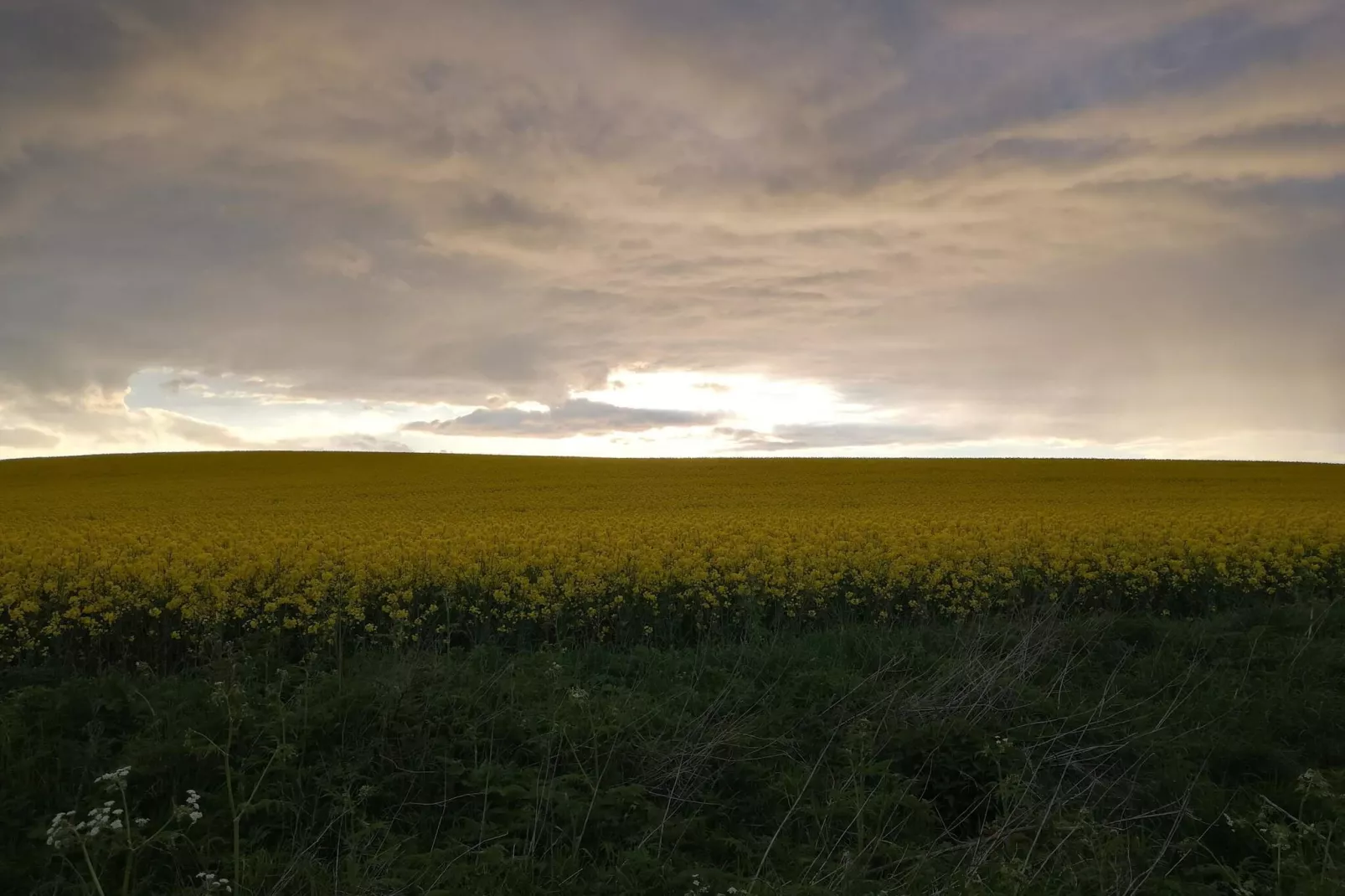 4 persoons vakantie huis in Mesinge-By Traum