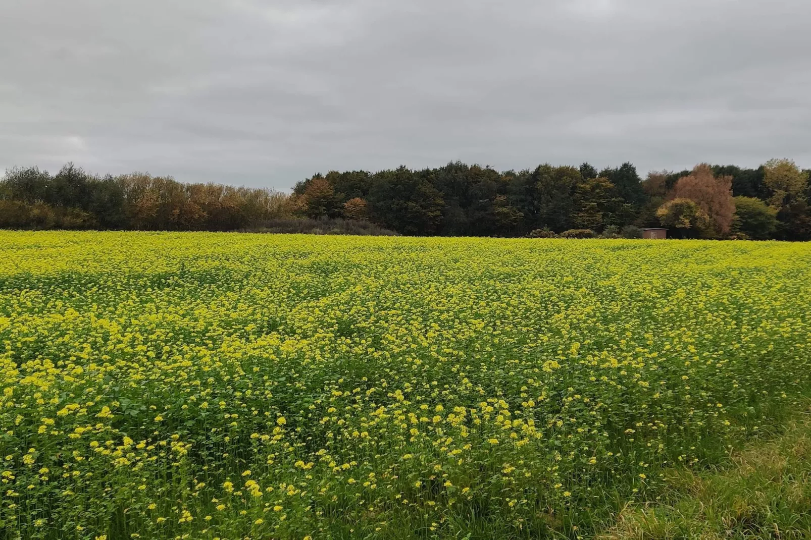 4 persoons vakantie huis in Stege-By Traum