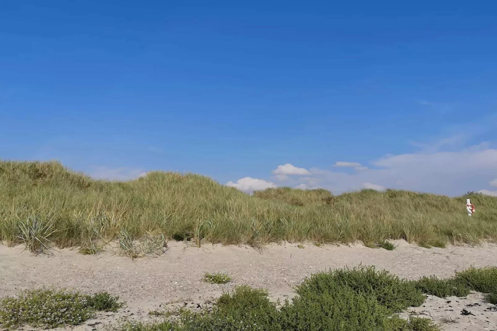 12 persoons vakantie huis in Rødby-By Traum-Niet-getagd