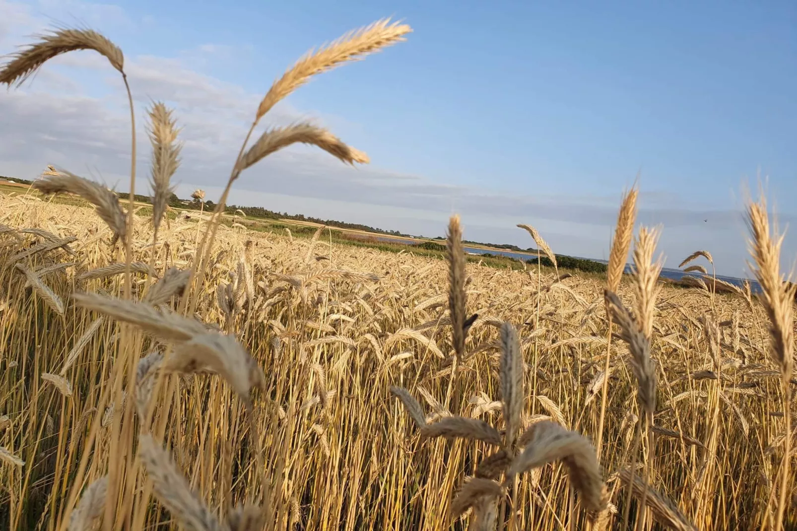 8 persoons vakantie huis in Løgstør-By Traum-Niet-getagd