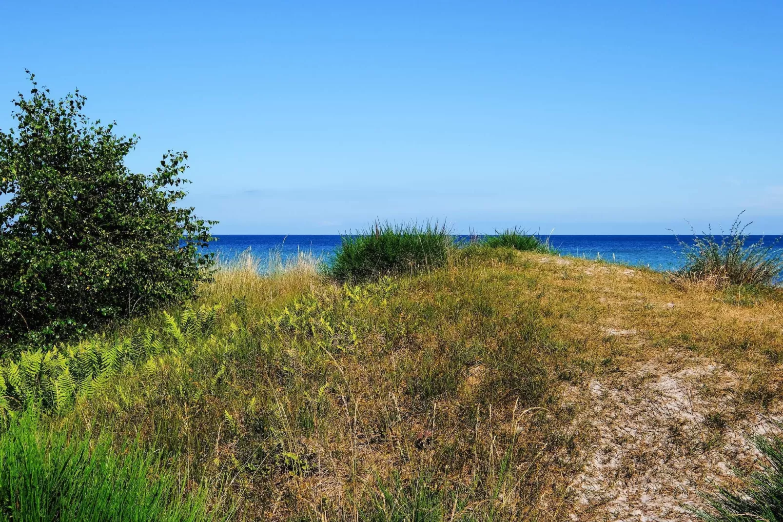 10 persoons vakantie huis in Væggerløse-By Traum