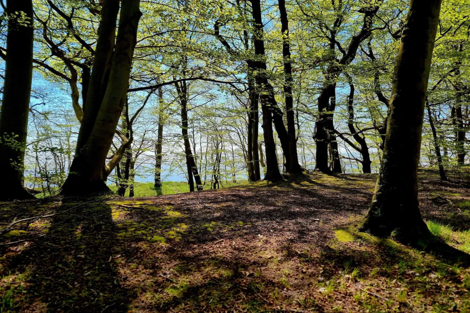 4 persoons vakantie huis in Faxe Ladeplads-Niet-getagd