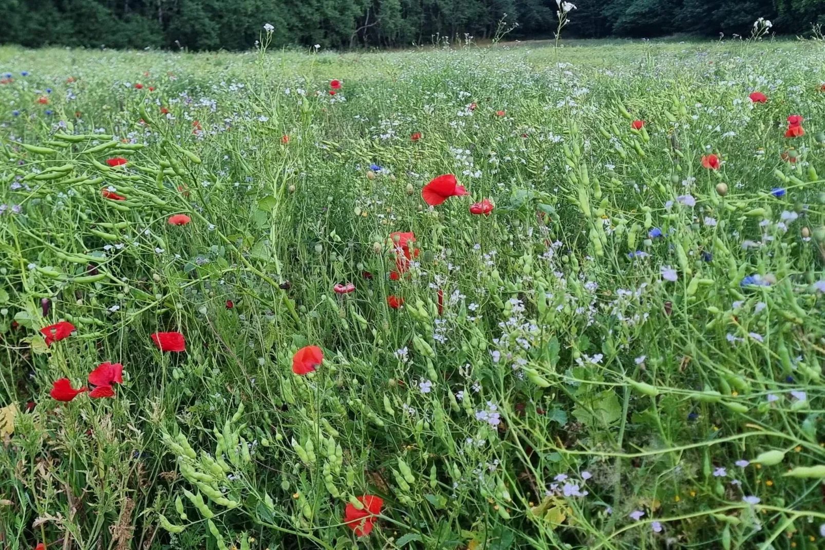 Modern toevluchtsoord met uitzicht -- By Traum Ferienwohnungen-Niet-getagd