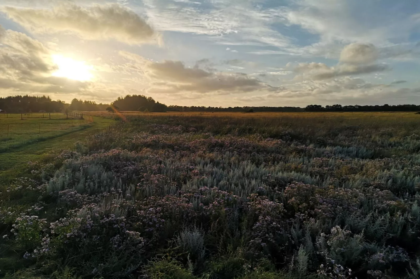 6 persoons vakantie huis in Asaa-By Traum-Niet-getagd